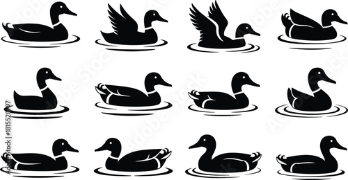 Duck silhouettes, swimming and floating poses, black waterfowl shapes, wildlife vector collection, flapping wings, calm ducks, nature animal design elements