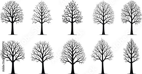 Collection of black tree silhouettes, detailed vector illustration of bare trees, natural winter forest design, decorative botanical elements, eco friendly nature artwork
