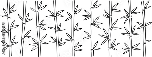 Black and white line art bamboo stalks with leaves pattern plant stem