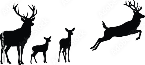 Deer family silhouette, jumping stag illustration, wildlife vector, forest animal art, elk and doe design, nature scene, reindeer shape graphic