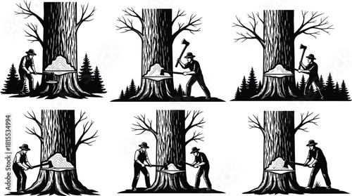 Traditional forest logging scene with lumberjack chopping trees using axe in pine woods, black and white vector illustration set