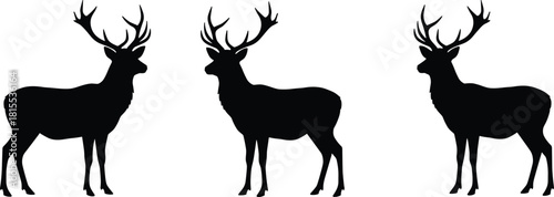 Three deer silhouettes, majestic stag wildlife vector, forest animal illustration, nature design, hunting logo art, rustic outdoor emblem, elegant wildlife scene