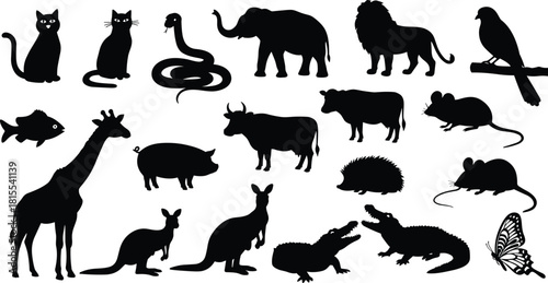 Animal silhouette vector set, wild and domestic animals collection, black shapes of mammals, reptiles, birds, and insects for design