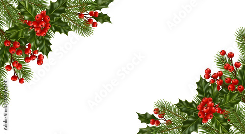 Holly and pine corner border isolated on transparent background