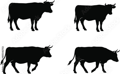 Cow silhouette vector illustration set, farm animal design, livestock graphic art for agriculture, dairy, ranch, and rural decoration