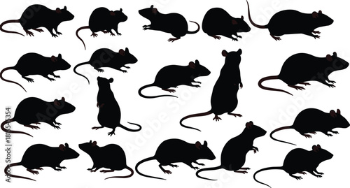 Rat silhouette vector set, rodents in various poses, mouse and rat animal design for pest control, biology, and wildlife illustration