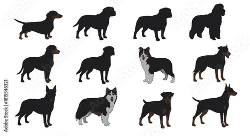 Dog breeds silhouette set, domestic pet vector collection, canine animal illustration, pet lover design, purebred dogs graphic, animal art