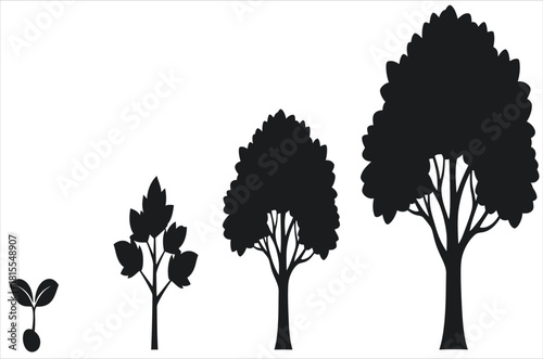 Tree growth stages silhouette seedling sapling mature tree