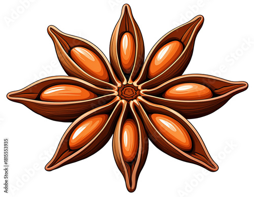 Star anise isolated on white background.