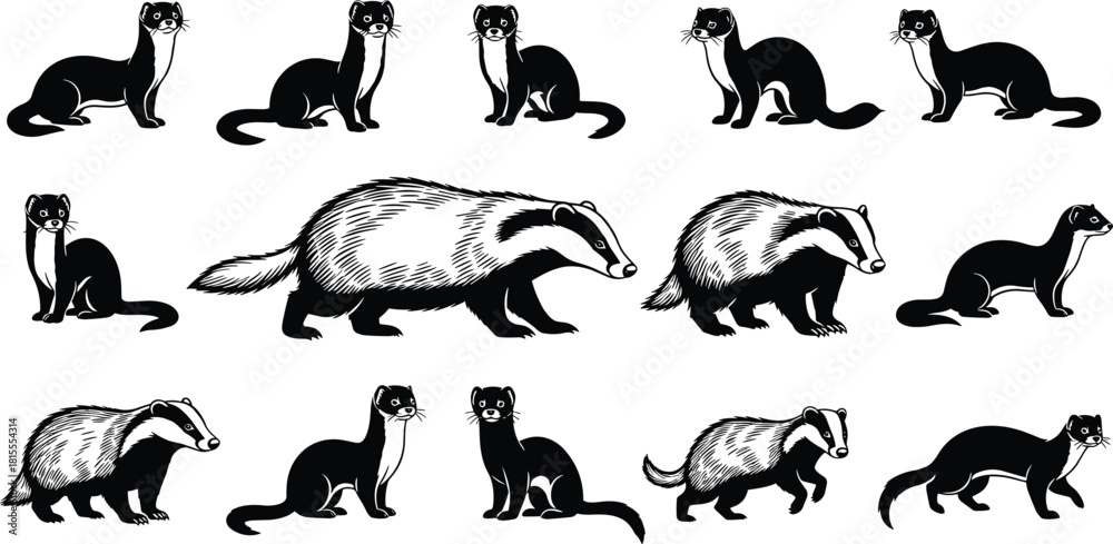 Fototapeta premium Collection of vector black and white illustrations featuring badgers and weasels, wild forest animals set isolated on white background for nature design.