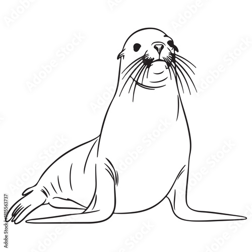 Minimalist Black Line Art Drawing of an Upright Seal