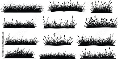 Silhouette collection of wild grass, meadow plants, field flowers, and natural foliage elements arranged in diverse horizontal decorative border designs