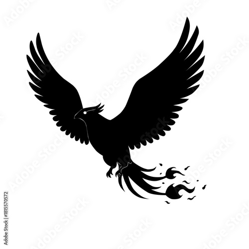 Vector silhouette of a flying phoenix with outstretched wings and a decorative fiery tail. Suitable for logos, tattoos, fantasy designs, mythology, and elegant graphic elements.