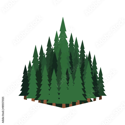 Forest of Green Pine Trees, Flat Design, White Background