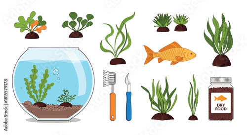 A comprehensive set of cartoon aquarium elements including a fishbowl, goldfish, various algae, cleaning tools, and dry fish food.