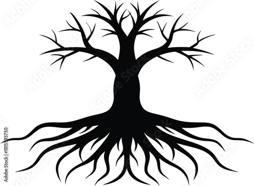 Black silhouette of a bare tree with visible roots