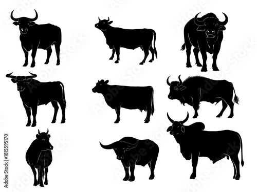 Silhouette of a long-horned animal with many different types. Vector illustration. Use for illustration work.