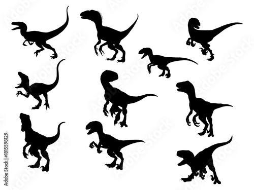 Silhouette of various dinosaurs, vector illustration, used for illustration work