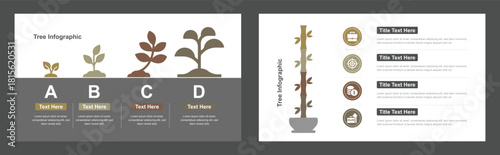 Tree Growth Process Diagram Infographic with Four Stages and Four Icons