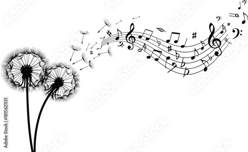 Dandelion seeds transforming into a flowing musical staff with flying notes, symbolizing the harmony of nature and sound, black and white vector art.