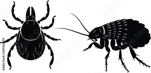 Set of Black Silhouette Vectors of Tick and Flea Parasites, Dangerous Blood-Sucking Insects, Pests Transmitting Disease, Isolated on White Background for Veterinary Use Illustration