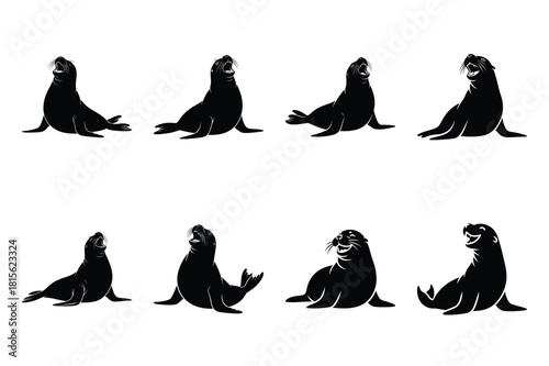 chuckling seal silhouette icon set on the white background