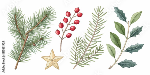 Classic winter foliage elements with star for stunning holiday designs, festive vector graphics for cards, prints, and decorations