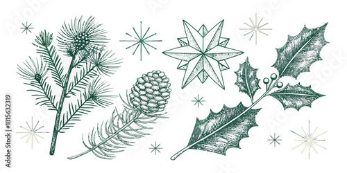 Elegant evergreen foliage and starbursts for stunning holiday cards and festive winter designs, originally a scalable vector graphic
