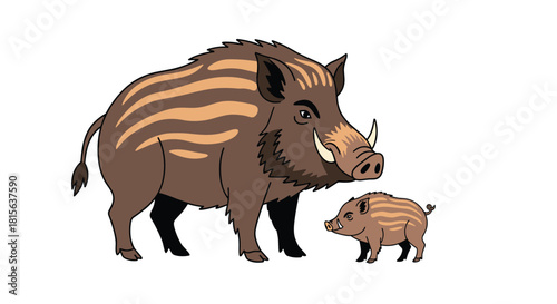 Illustration of a mother wild boar with large tusks standing protectively next to her small, striped piglet on a white background.