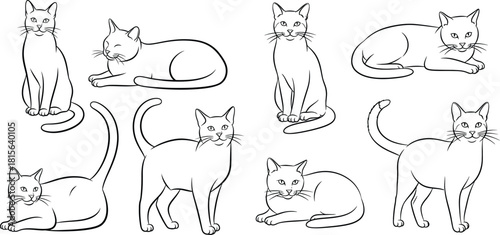 Collection of seven outline cat illustrations showing felines in various sitting and lying poses