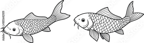 Two stylized koi fish with intricate scale patterns swimming gracefully, depicted in a traditional oriental style outline