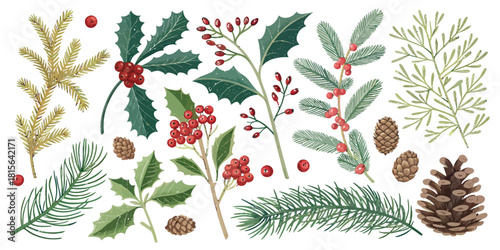 Festive Christmas botanical elements for elegant holiday designs, bringing joy and warmth to your winter projects, seasonal celebrations