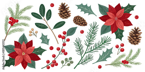 Festive Christmas botanical elements for elegant holiday designs, invitations and winter event decorations with winter season floral accents