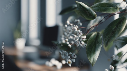Delicate White Flowers with Green Leaves in a Serene Indoor Setting