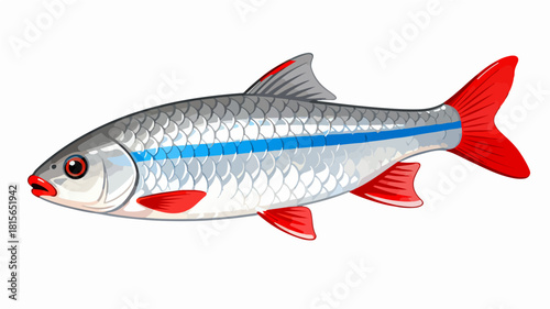 Fish illustration vector diagram