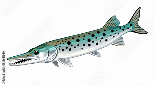 Fish illustration vector diagram