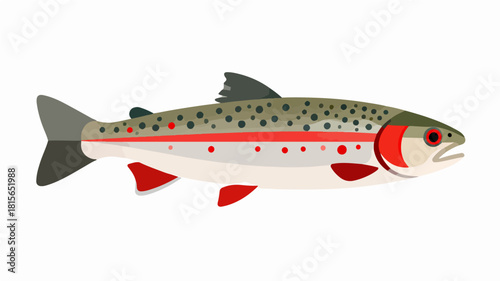 Fish illustration vector diagram