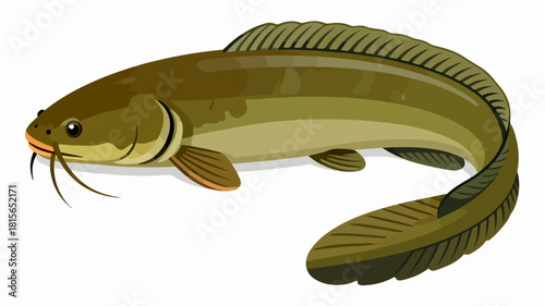 Fish illustration vector diagram
