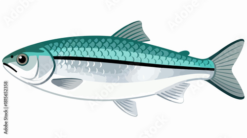 Fish illustration vector diagram