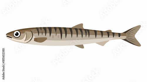 Fish illustration vector diagram