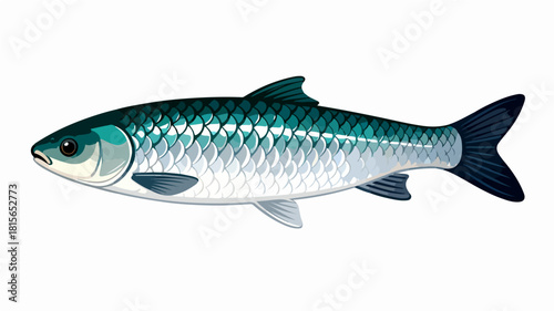 Fish illustration vector diagram