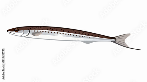 Fish illustration vector diagram