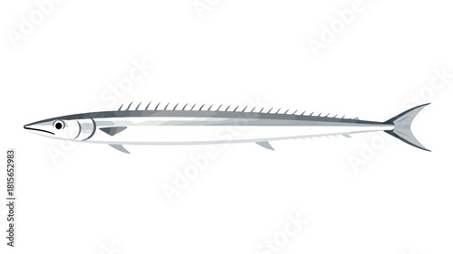 Fish illustration vector diagram