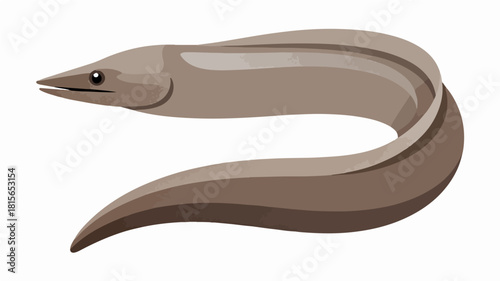 Fish illustration vector diagram