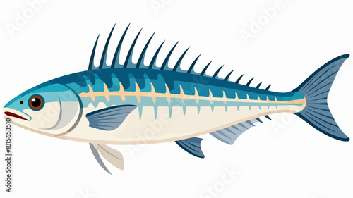 Fish illustration vector diagram