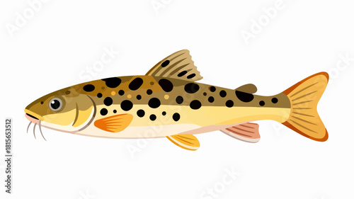 Fish illustration vector diagram