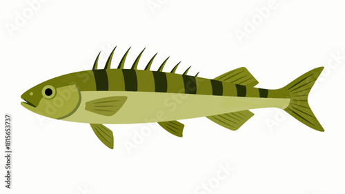 Fish illustration vector diagram