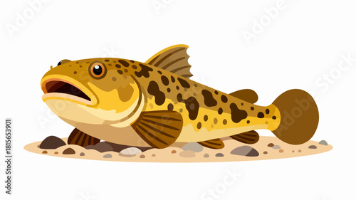 Fish illustration vector diagram