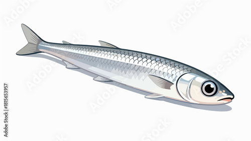 Fish illustration vector diagram