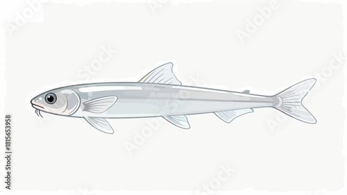 Fish illustration vector diagram